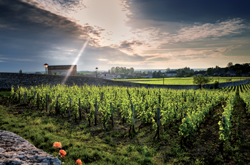 french_wine-louis_francois-rouen-paris french_wine-louis_francois-rouen-paris